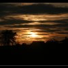 20051022_246